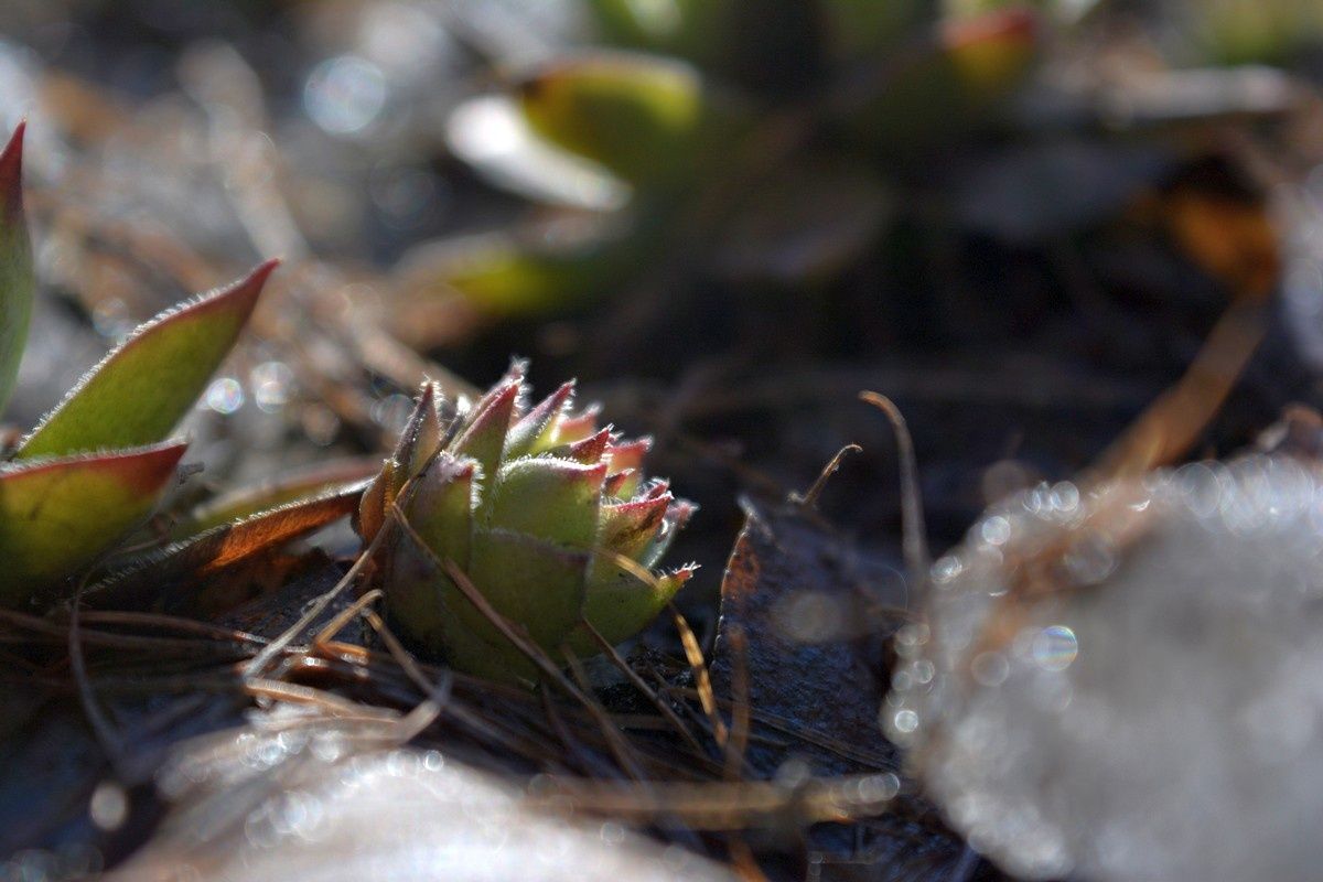 Ожидается похолодание: прогноз погоды на 12 апреля