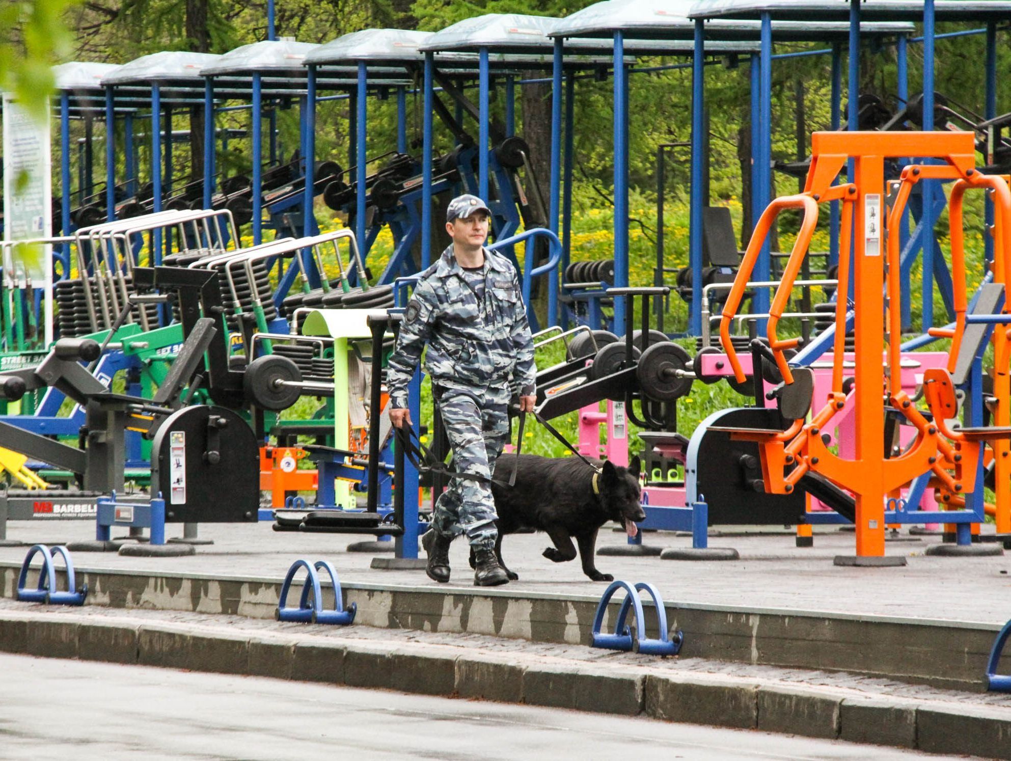 В Петрозаводске служебные собаки помогли раскрыть грабеж и разбой