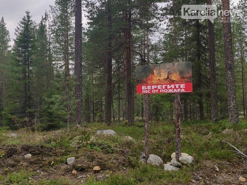 В Карелии изменили даты начала пожароопасного сезона