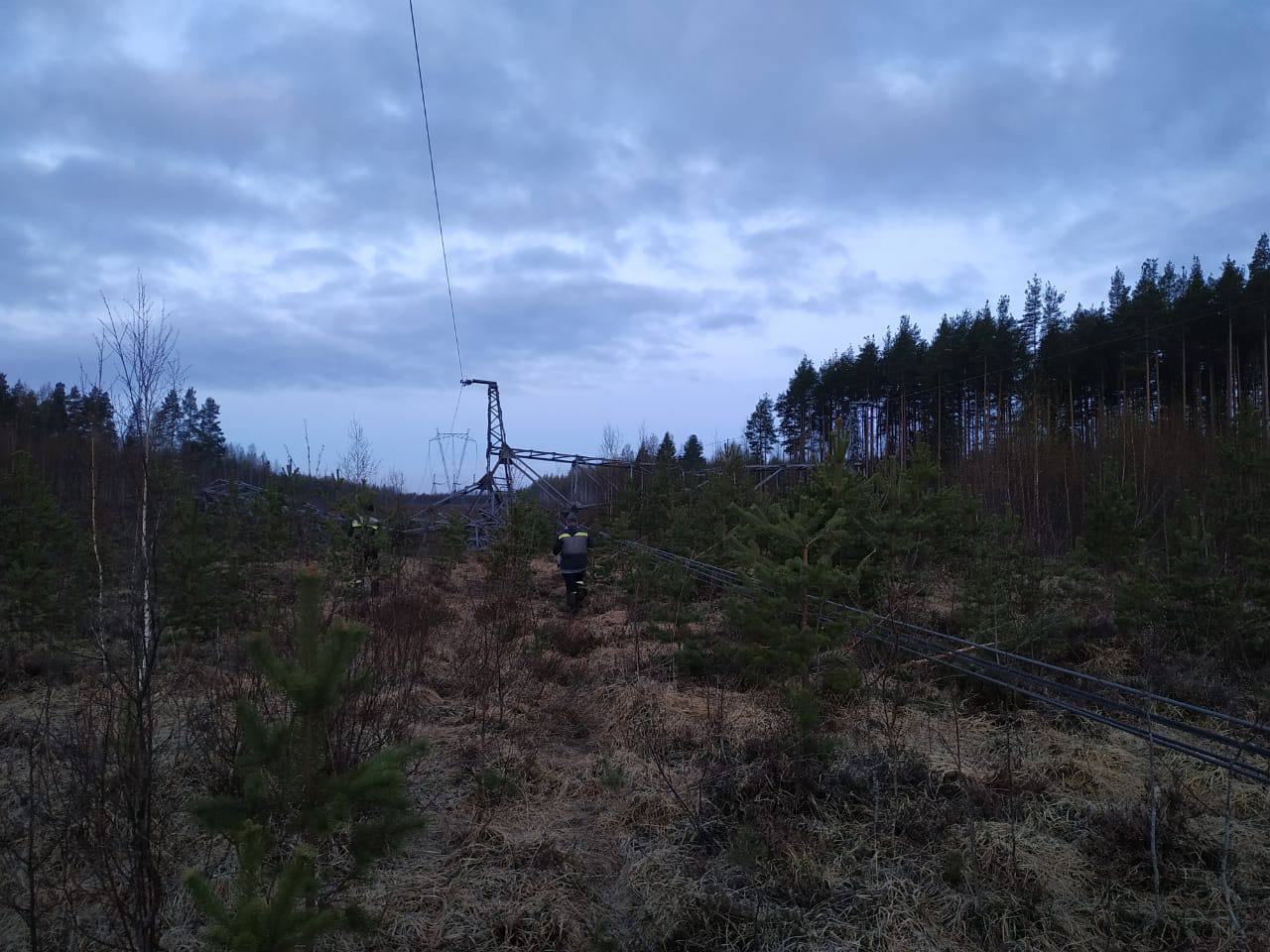 ФСБ увидела диверсию в подрыве опоры ЛЭП в соседней с Карелией Ленобласти