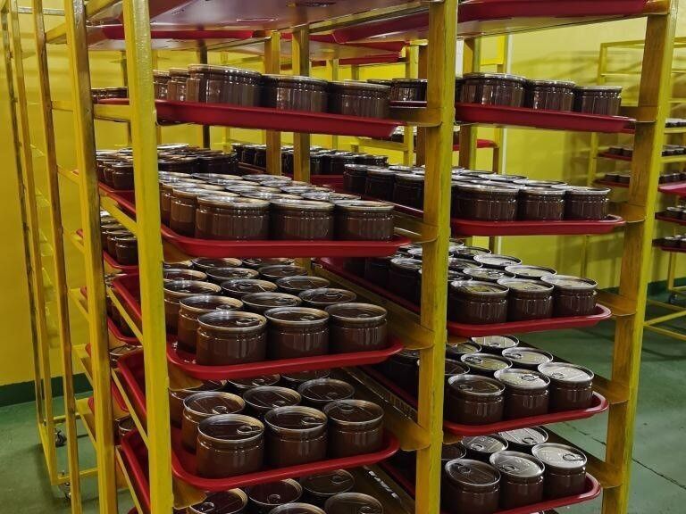 Предприятие по переработке водорослей Белого моря появилось в Карелии