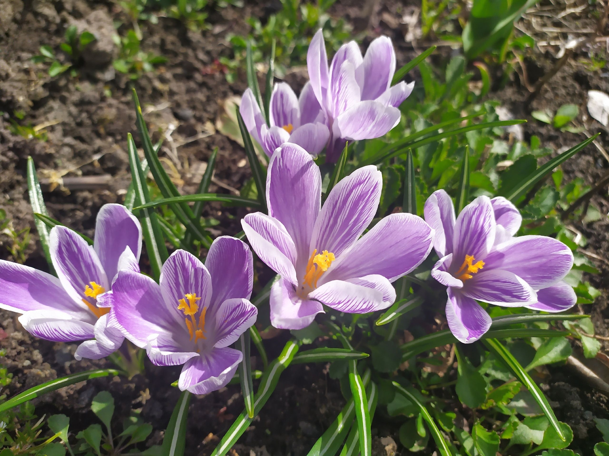 9 мая будет теплым. О погоде на ближайшую неделю рассказали карельские синоптики