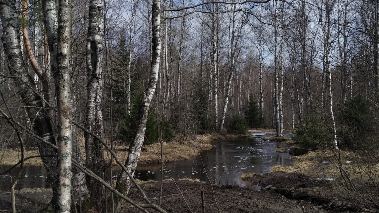 В среду в Карелии похолодает. Прогноз погоды на 3 мая