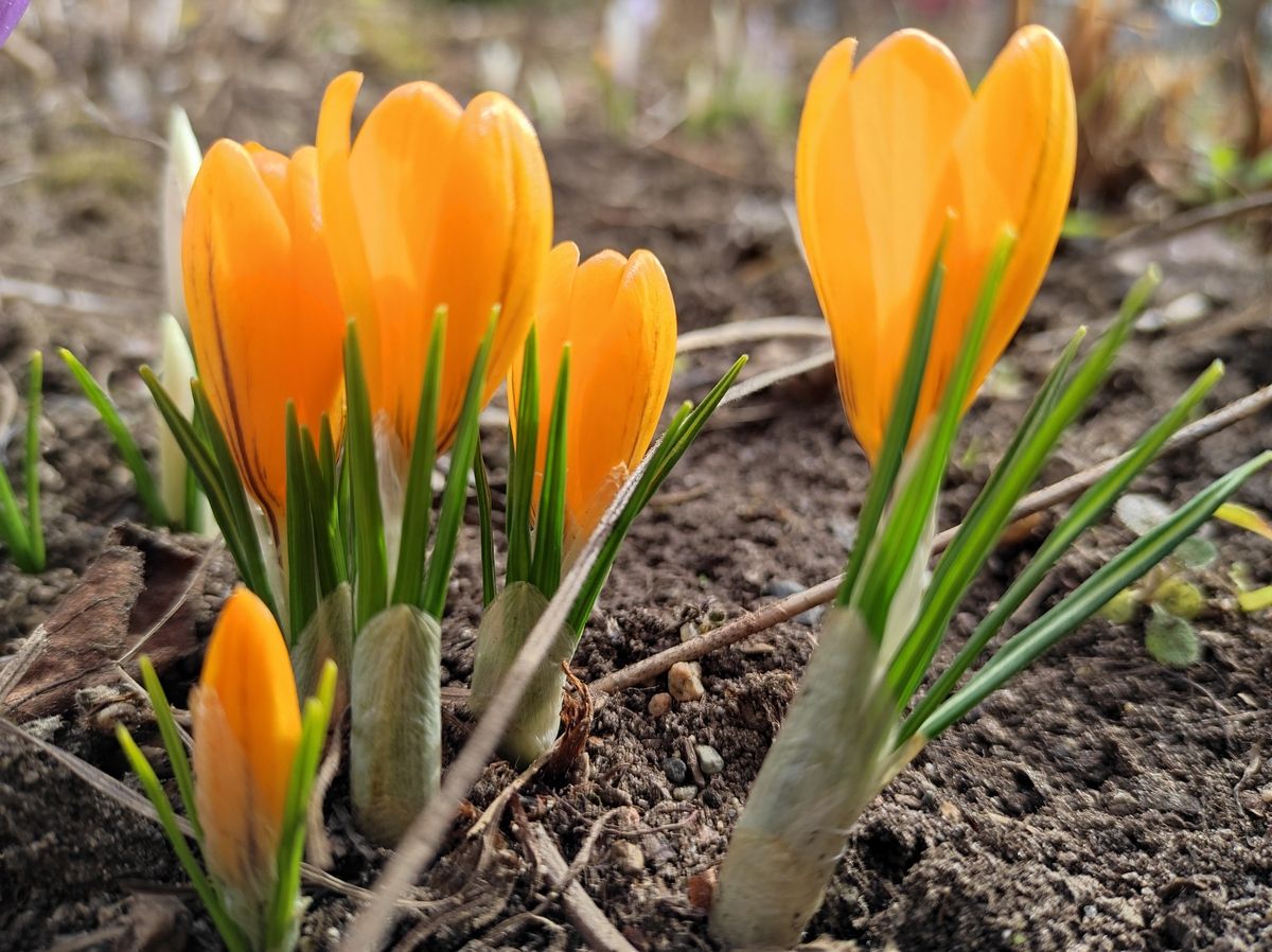 Глава Карелии поздравил жителей республики с 1 мая