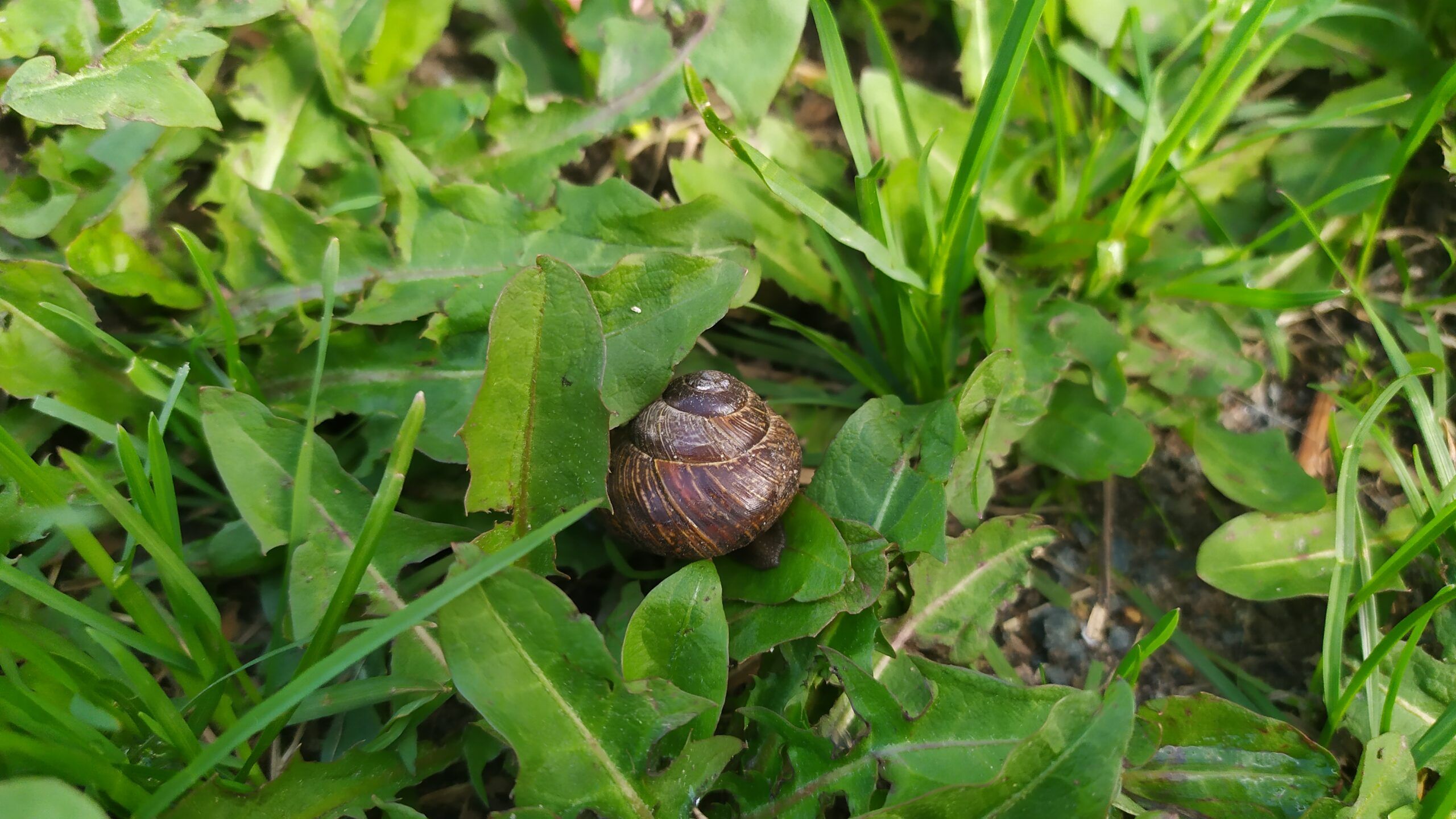 Жаркое воскресенье обещают в Карелии. Правда, ночью местами до -1°С. Прогноз погоды на 21 мая