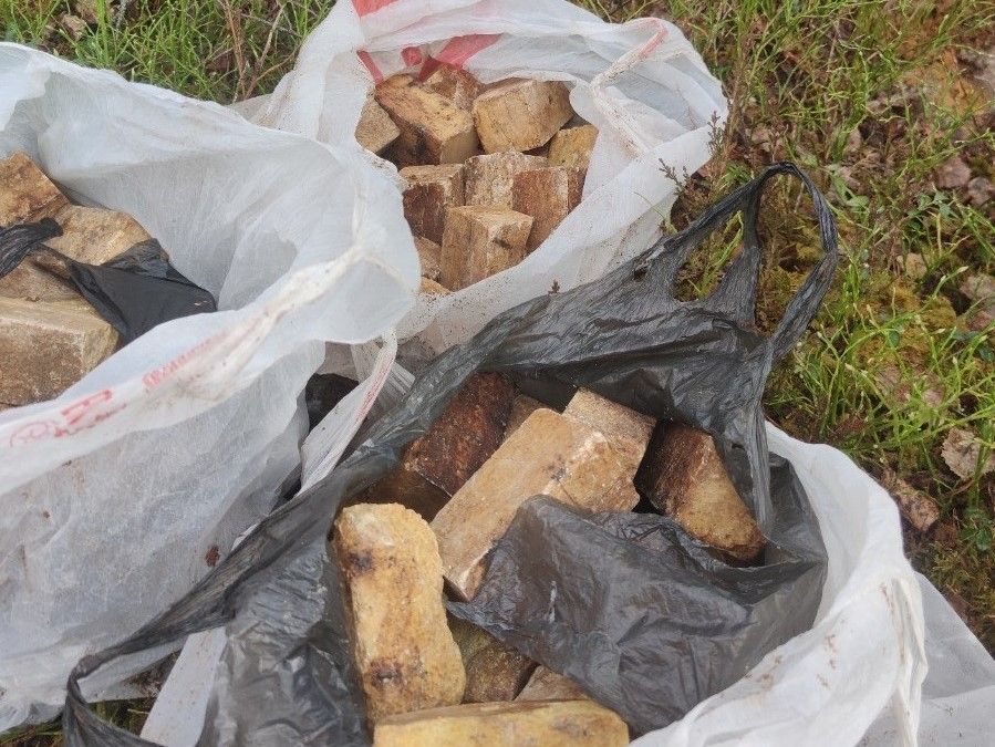 Боеприпасы времен Великой Отечественной войны обнаружили в Карелии