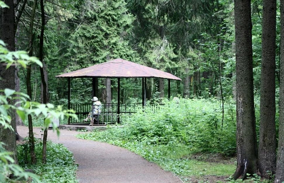 Подведены промежуточные итоги голосования за объекты благоустройства в Петрозаводске