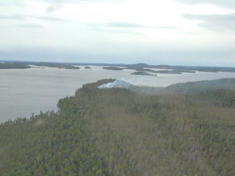 Четыре лесных пожара тушили спасатели в выходные