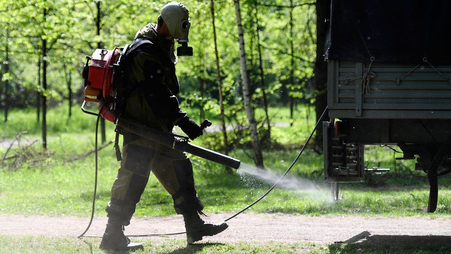 Зеленые зоны Петрозаводска обработают от клещей