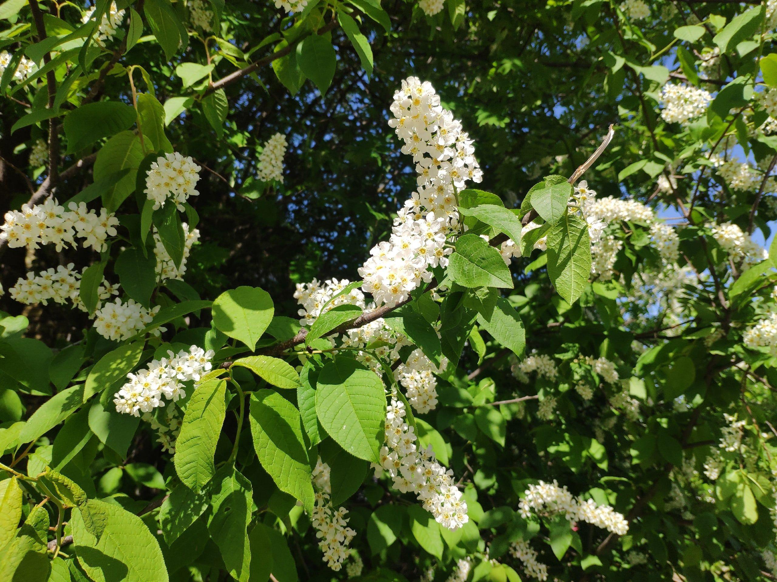 До плюс 24! Прогноз погоды в Карелии на 24 мая