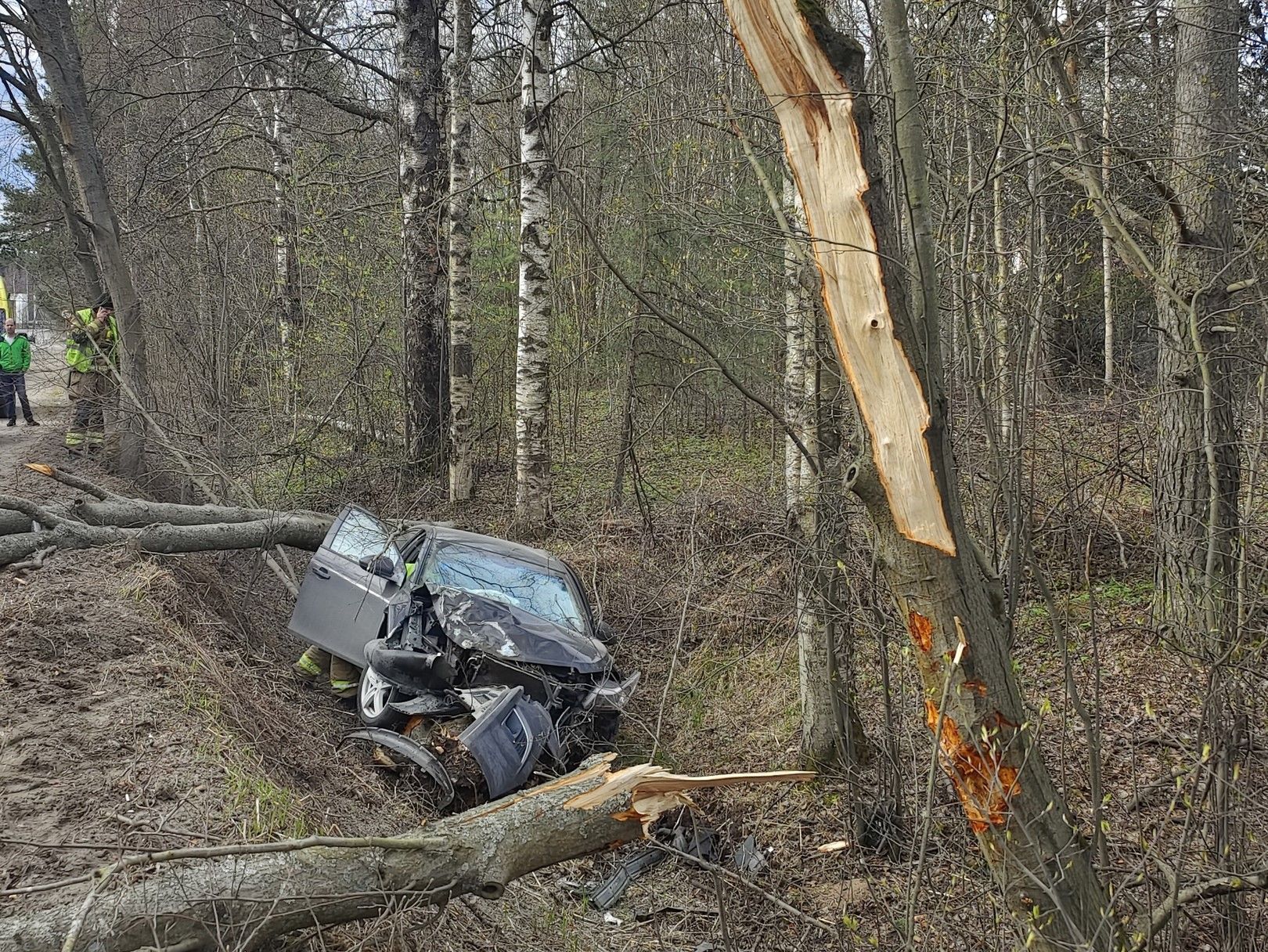 Один врезался в дерево, другой в светофор. Дорожная хроника 9 мая