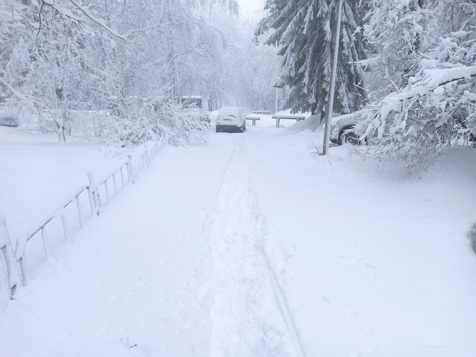 Атлантический циклон стал причиной снега на севере Карелии