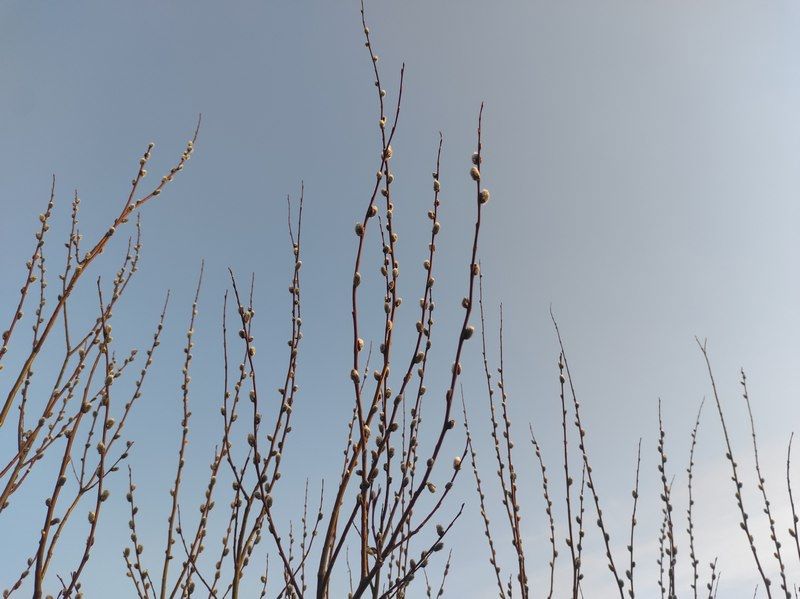 Без осадков и уже теплее: прогноз погоды на 8 мая