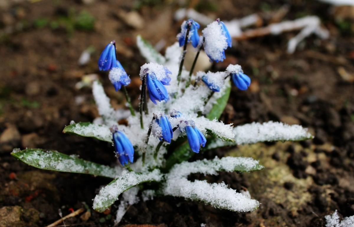 Начало лета в Карелии будет прохладным