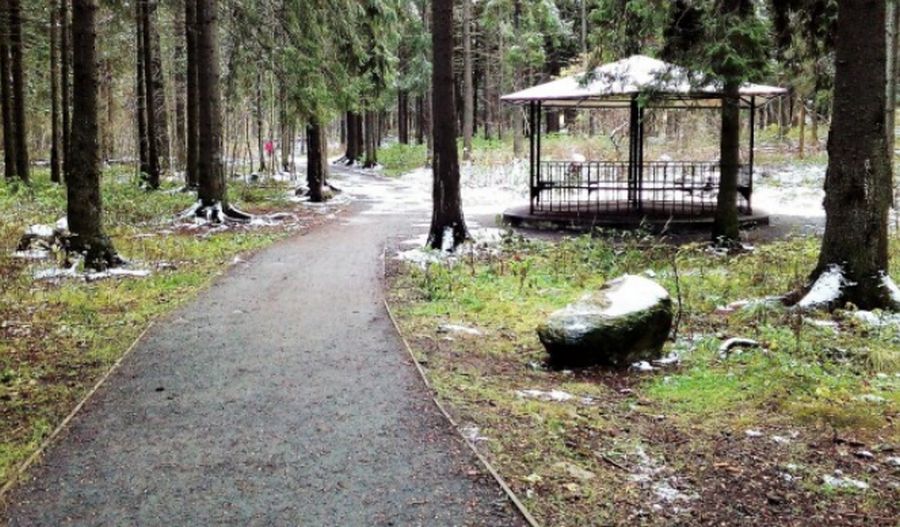 Парк Беличий остров лидирует в голосовании за объекты для благоустройства в следующем году