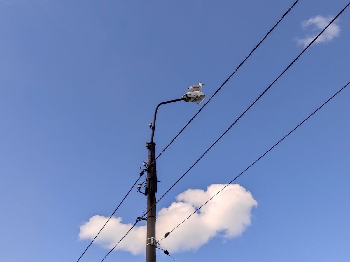 Ночью подморозит, днем потеплеет: прогноз погоды на 28 мая