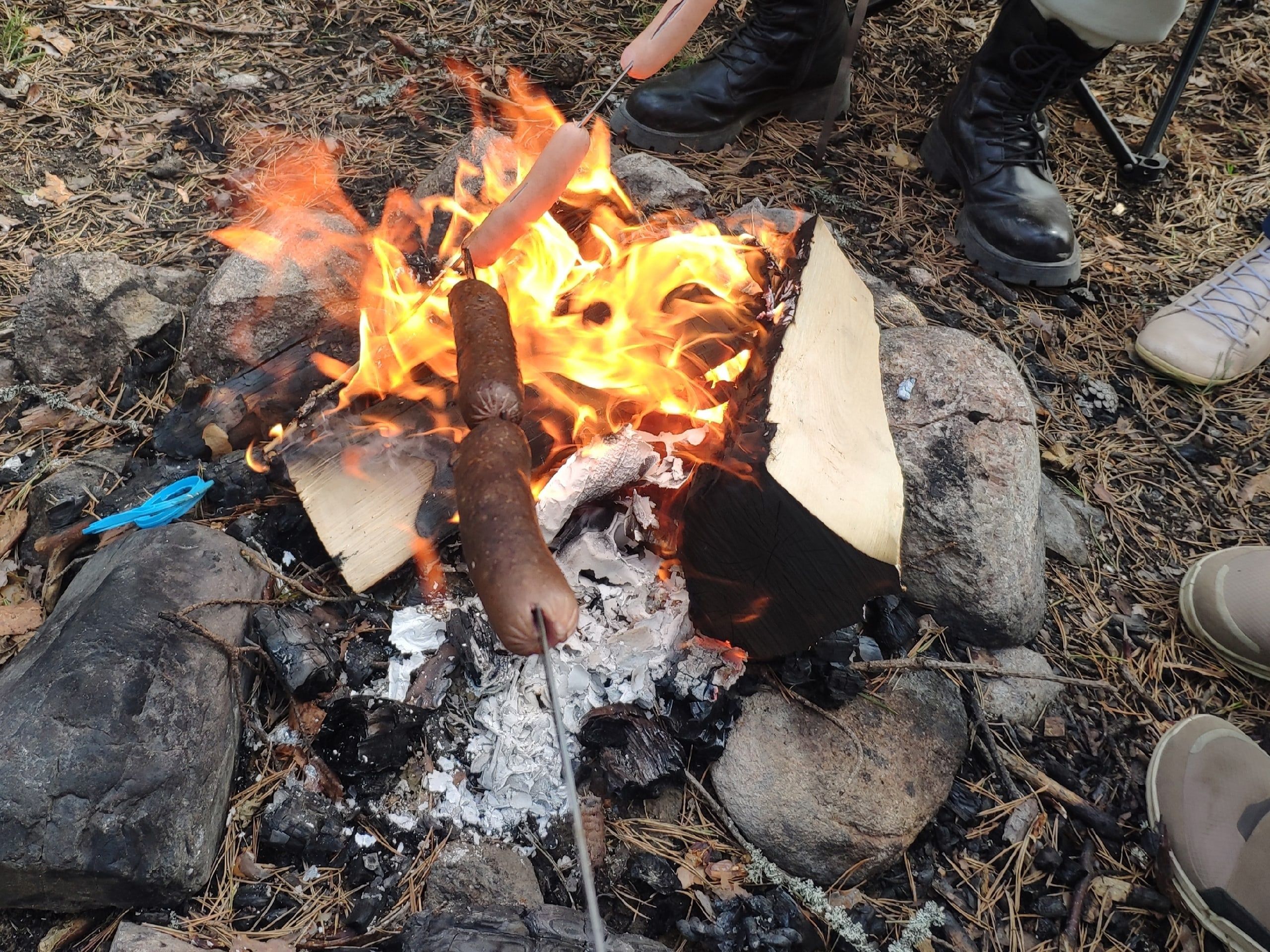 В Минприроды Карелии назвали сумму штрафу за разведение костра в лесу