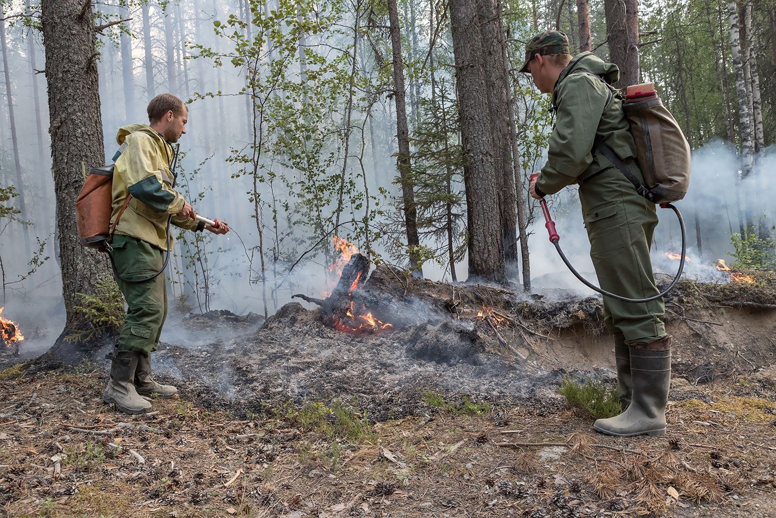 Глава Рослесхоза заявил о неготовности Карелии к лесным пожарам, а Минприроды уверяет, что республика готова