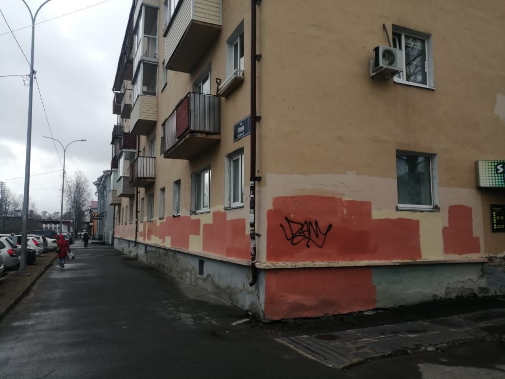 Антивандальное покрытие будут наносить на здания в Карелии