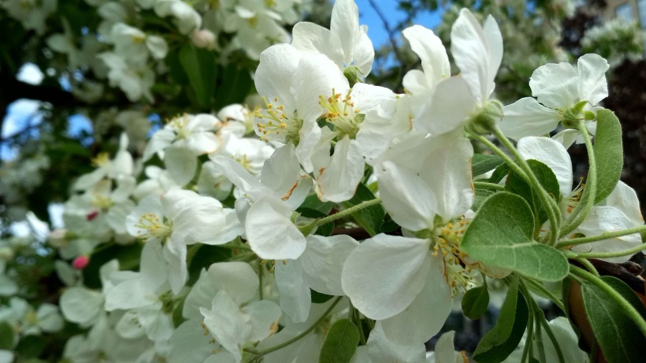 В Карелию идет похолодание. Чем завершится май, рассказали карельские синоптики