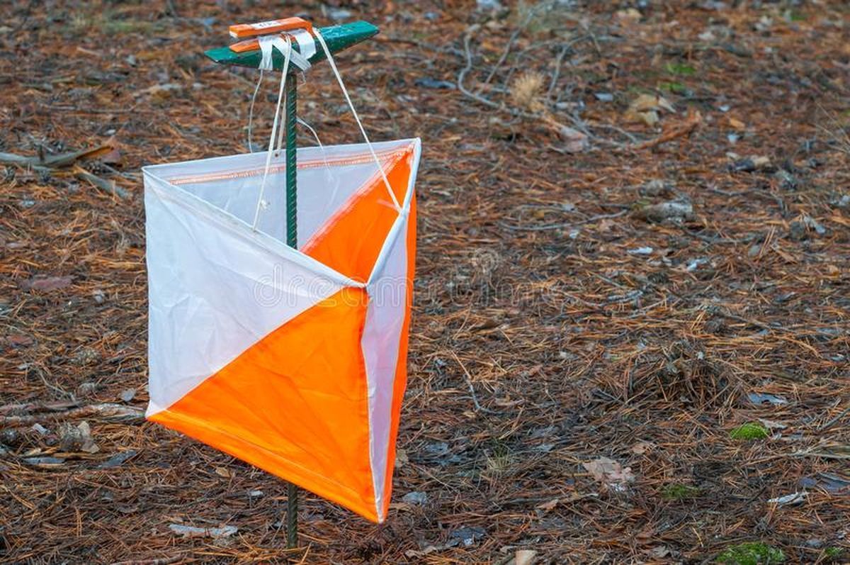 «Российский азимут» стал фестивалем и пройдет всего в двух регионах страны