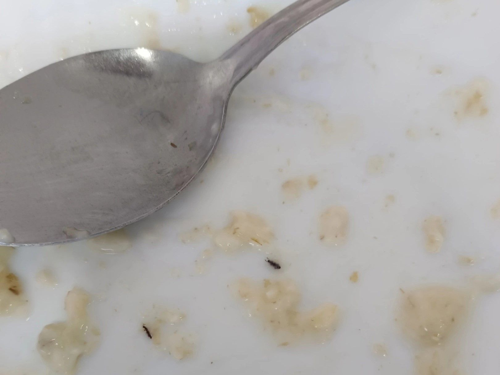 Качество питания в ДРБ оценили после информации о жучках в каше