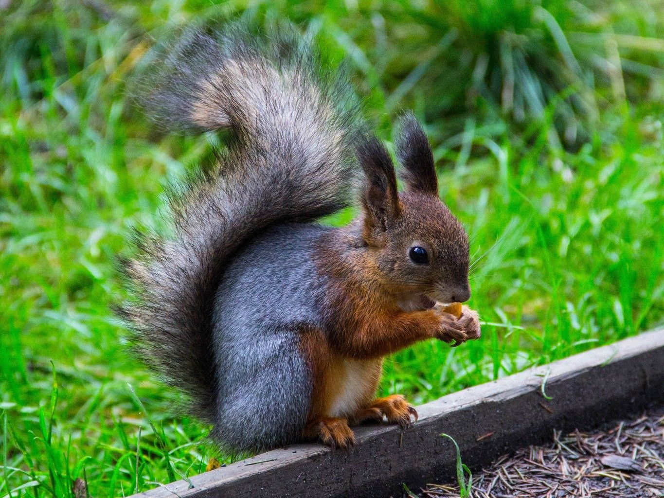 Жители Карелии выбирают территории для благоустройства в 2024 году