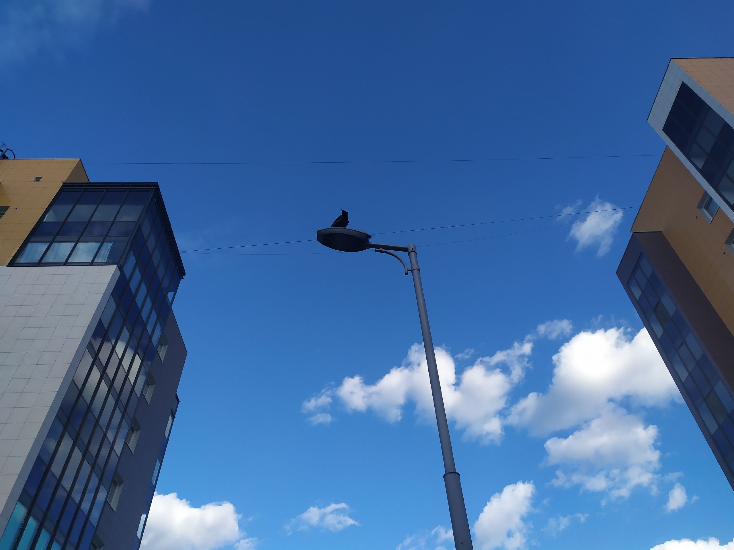 «Лето» в Карелии продолжается. Прогноз погоды на 16 мая