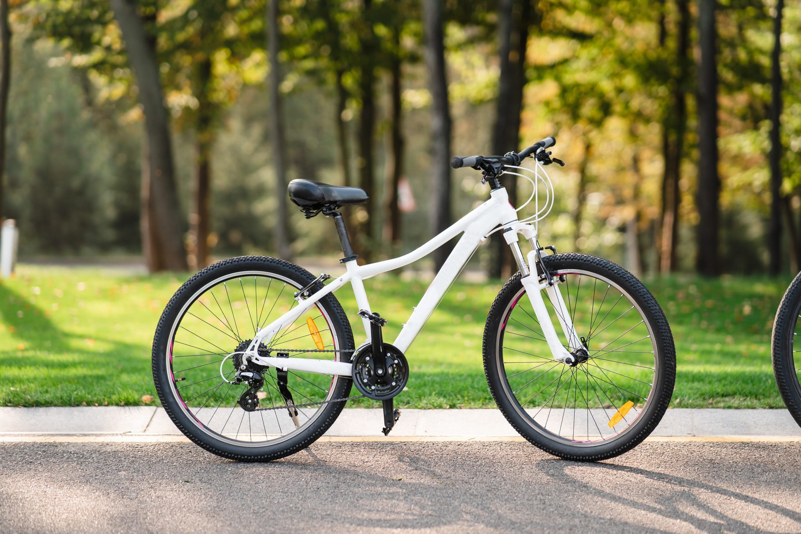 Полиция просит помочь в розыске подозреваемых в краже велосипеда в Петрозаводске
