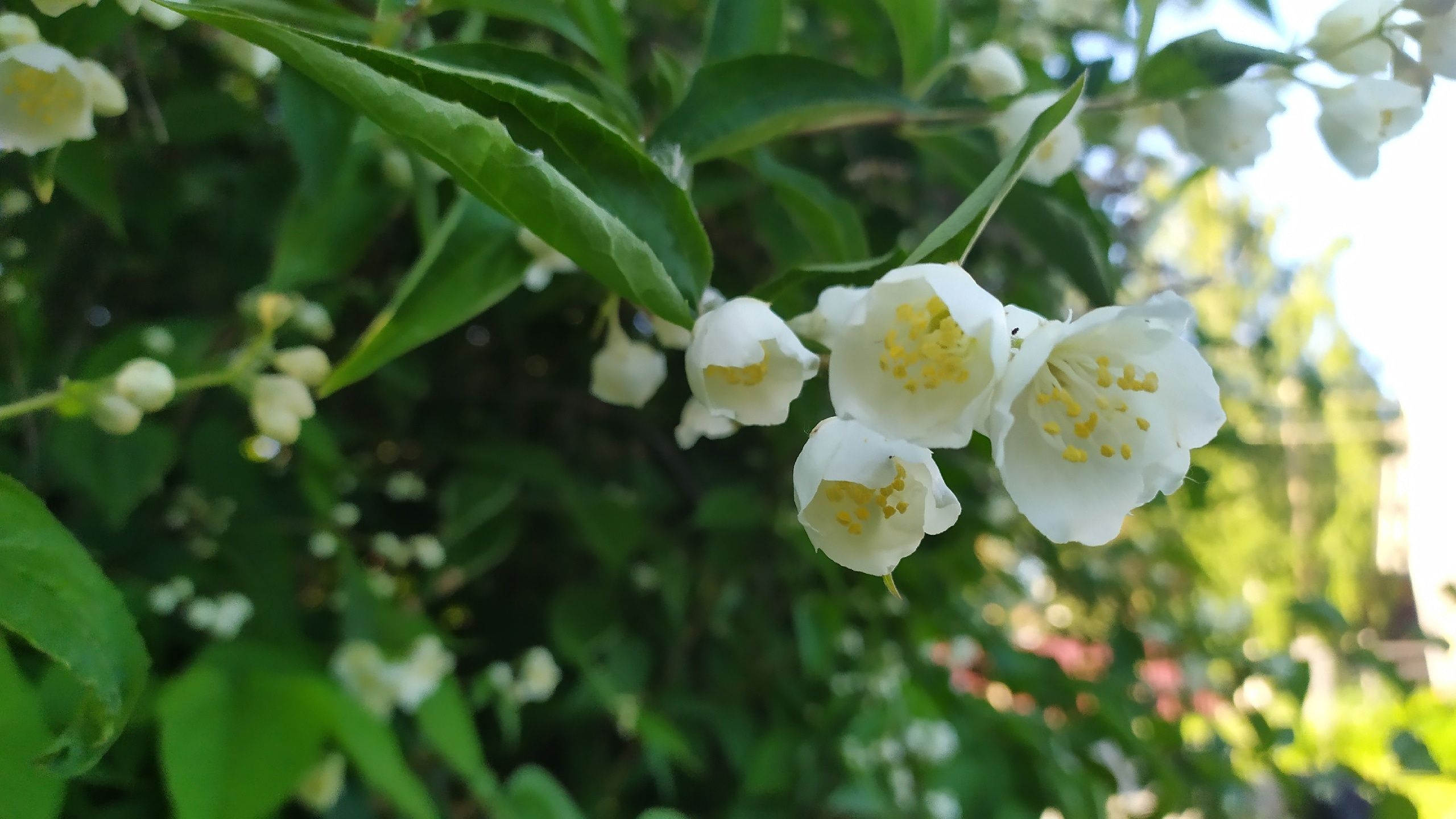 Тепло, но местами возможен дождь и гроза. Прогноз погоды на 27 июня