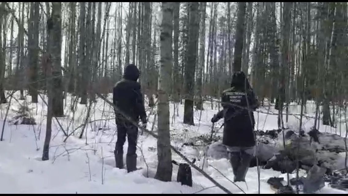 19-летний житель Кондопоги зарезал и расчленил дядю, а его останки вместе с матерью закопал в лесу