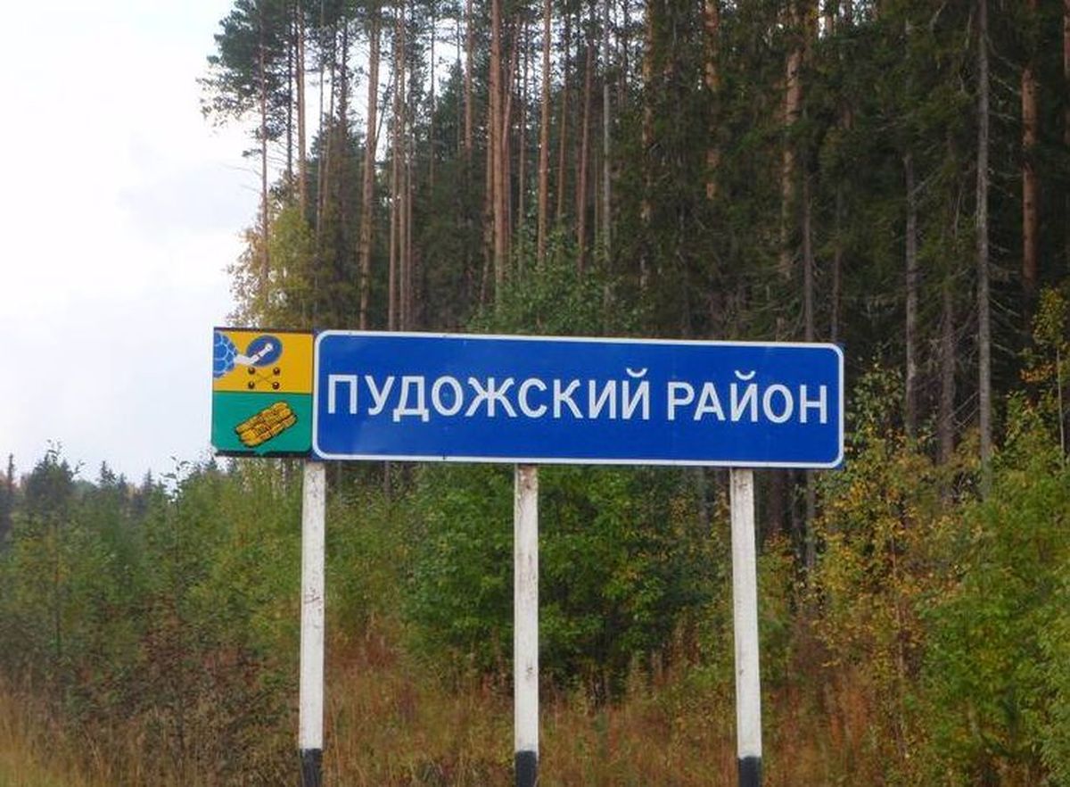 Смертельное ДТП произошло в Пудожском районе