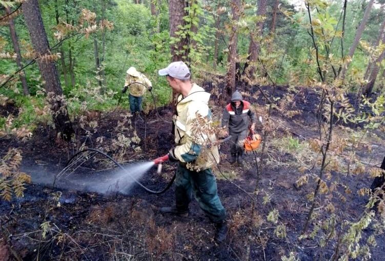 Из-за непотушенного костра загорелся лес вблизи Лахденпохьи