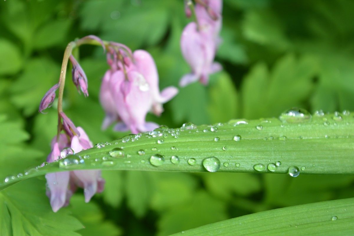Кратковременный дождь и небольшое потепление: прогноз погоды на 5 июня