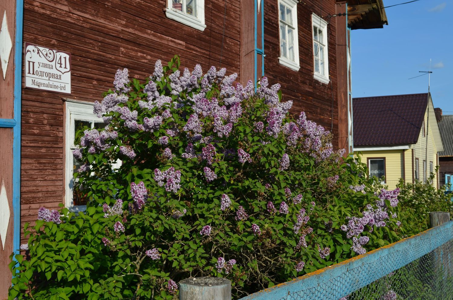 Высокоскоростной Интернет пришел в четыре крупных населенных пункта Карелии