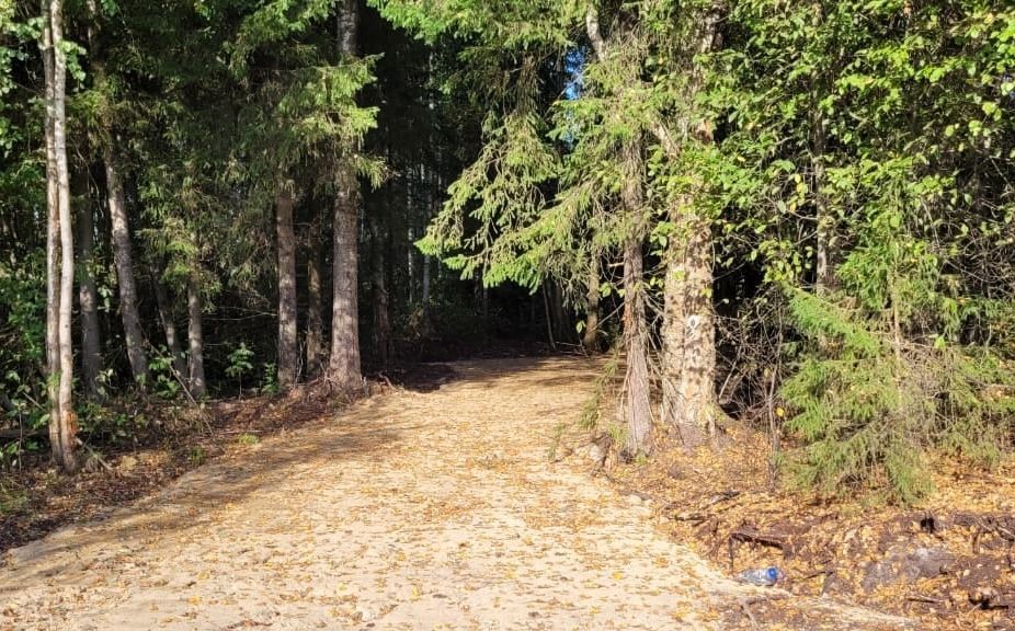 В Новой Вилге задержан мужчина, который пытался увести двух девочек в лес