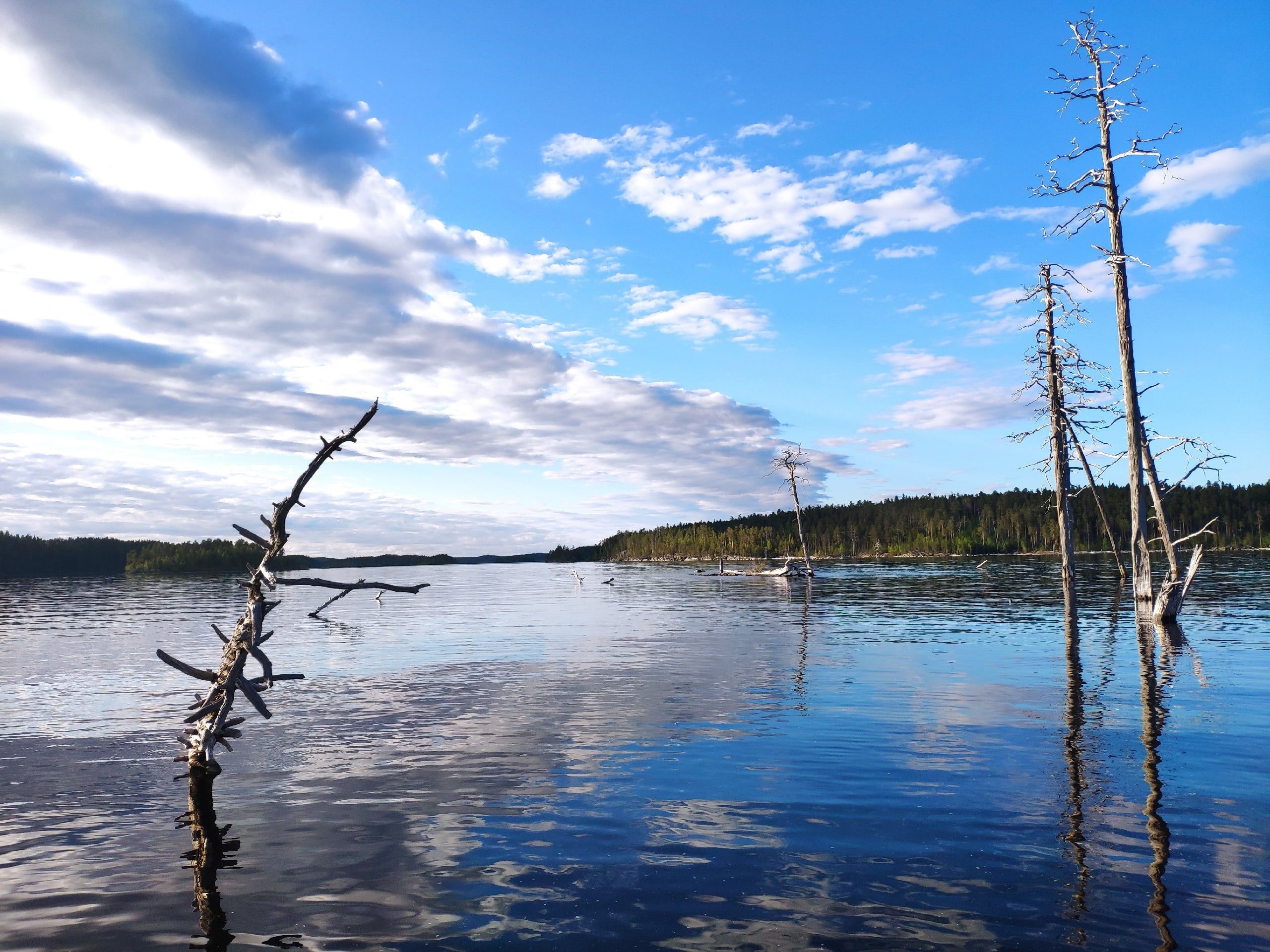 Без осадков и до +26°С. Прогноз погоды на 16 июня