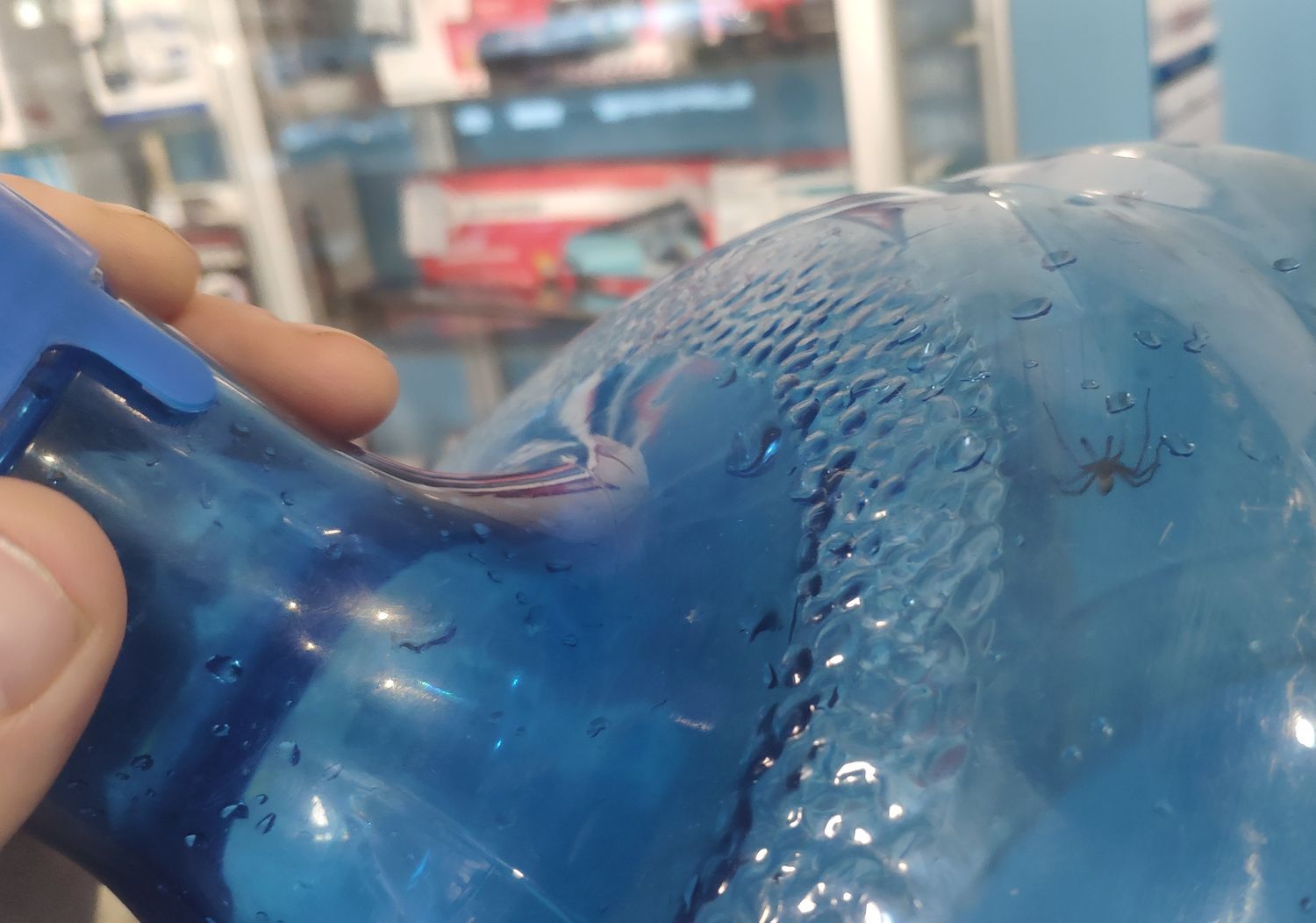 В закрытой бутылке воды в петрозаводском магазине обнаружили паука