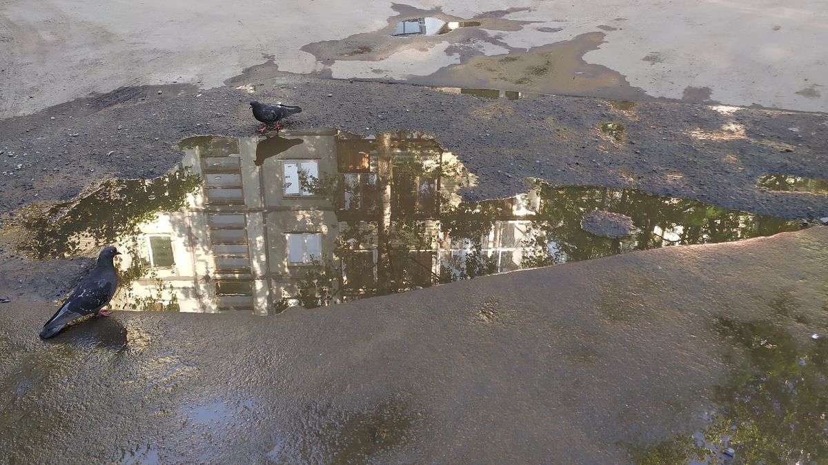 Первый день июля в Карелии будет дождливым и прохладным. Прогноз погоды на 1 июля