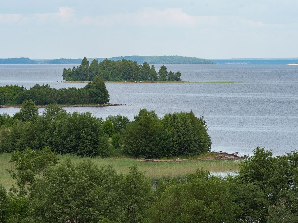 Преимущественно без осадков. Прогноз погоды в Карелии на 30 июня