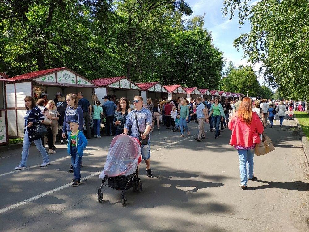 Салюта не будет: опубликована программа Дня города в Петрозаводске