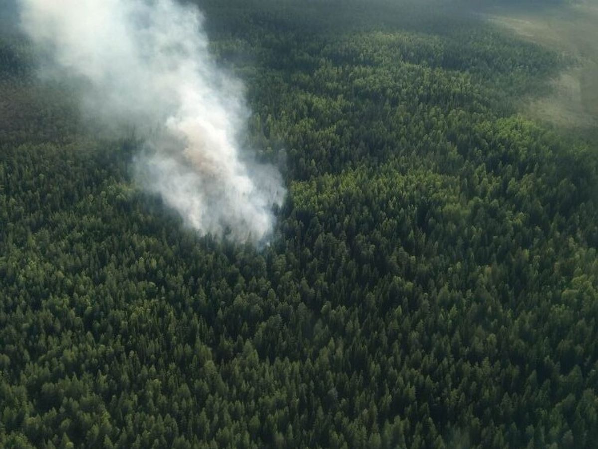 В Сегежском районе тушат пожар, возникший накануне из-за грозы