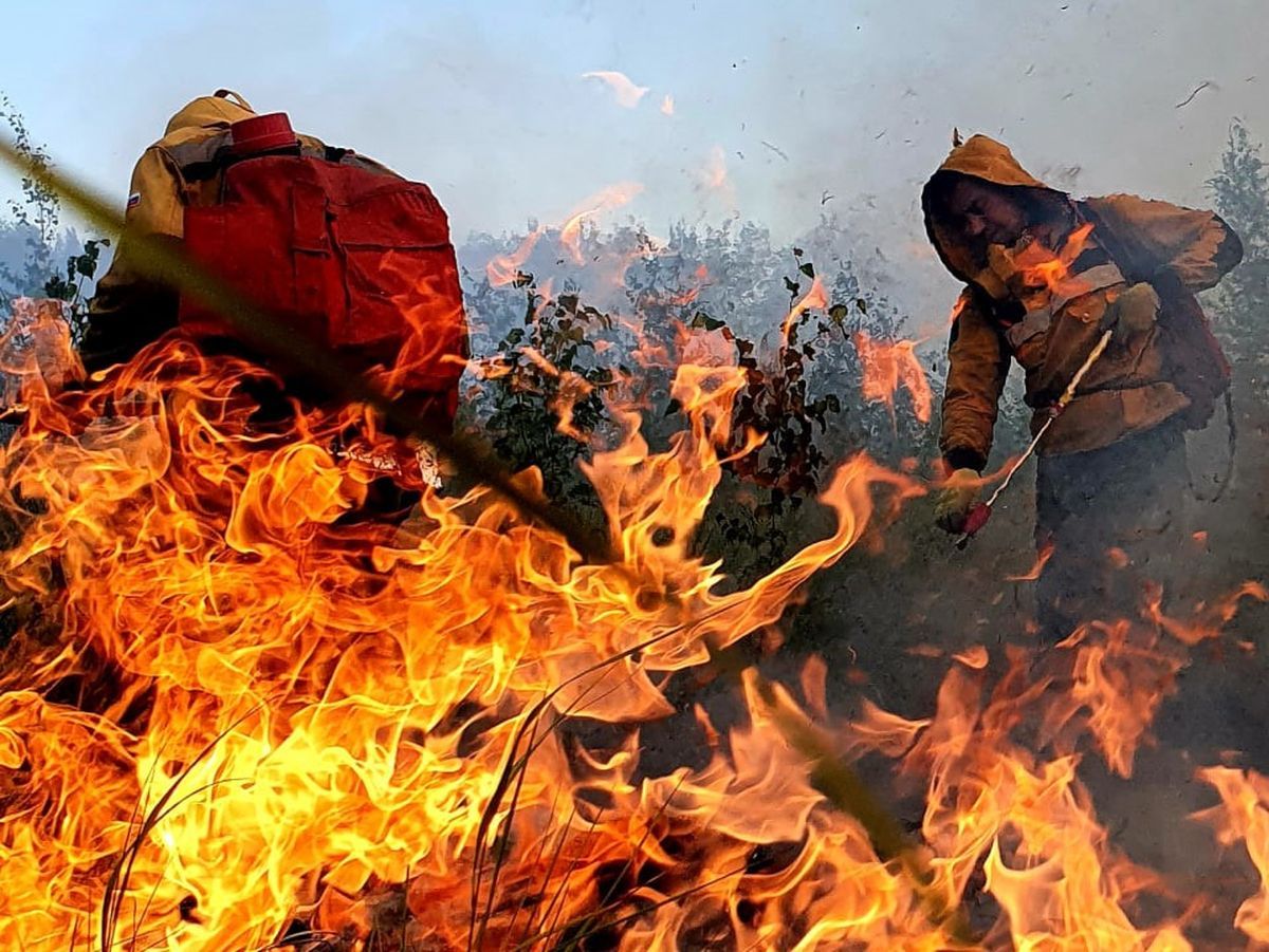 В 44 российских регионах есть риск возникновения пожаров в июле