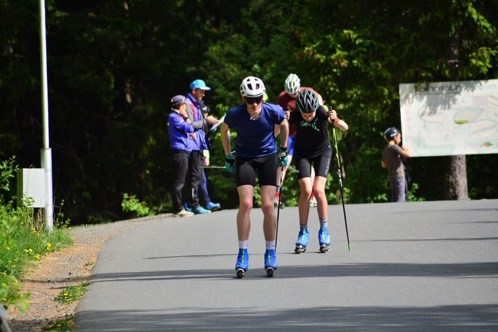 Лыжероллерную трассу на «Кургане» реконструируют