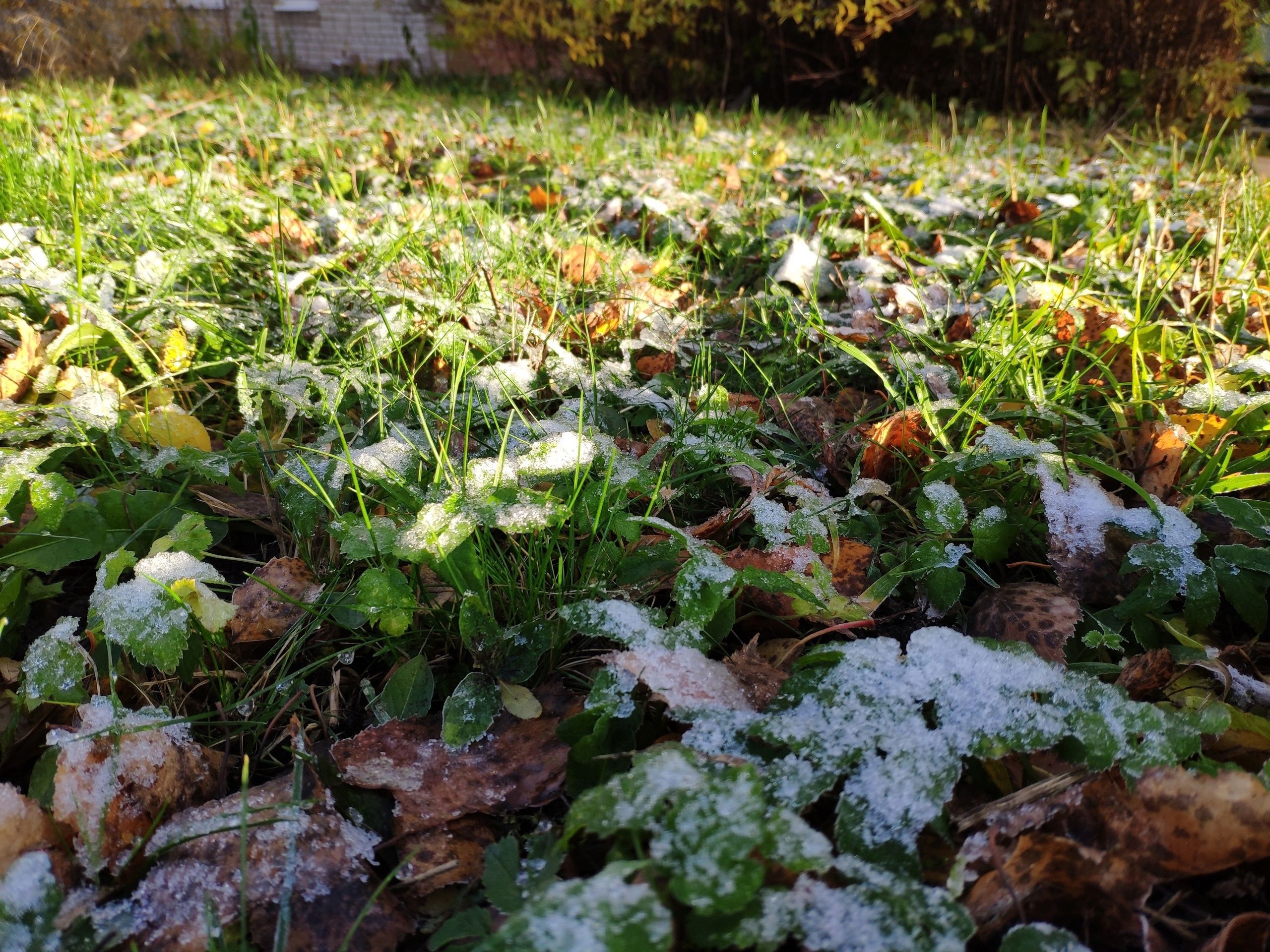 Самый южный город Карелии стал самой холодной точкой на карте погоды на Северо-Западе