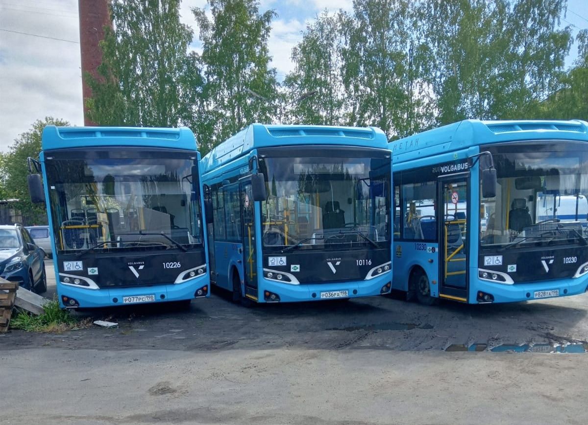 В Петрозаводске запустят два новых автобусных маршрута