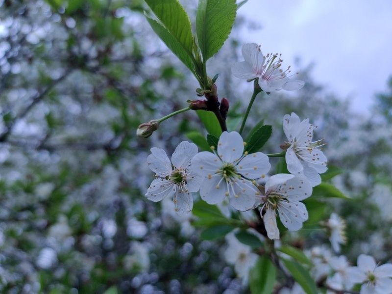 Снова ночные заморозки: прогноз погоды на 10 июня