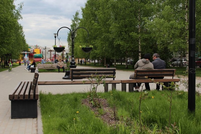 Городской комбинат благоустройства больше не будет заниматься уборкой парков и скверов Петрозаводска