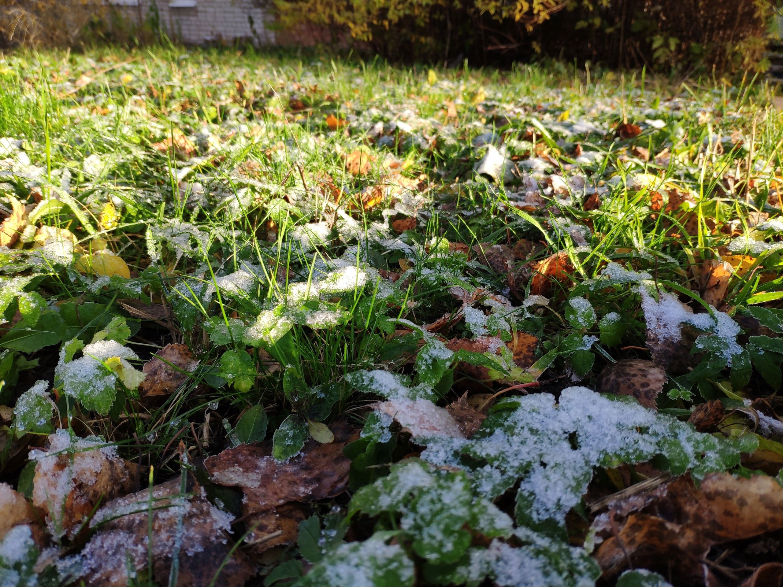 Ночью заморозки, днем прохладно: прогноз погоды на 4 июня