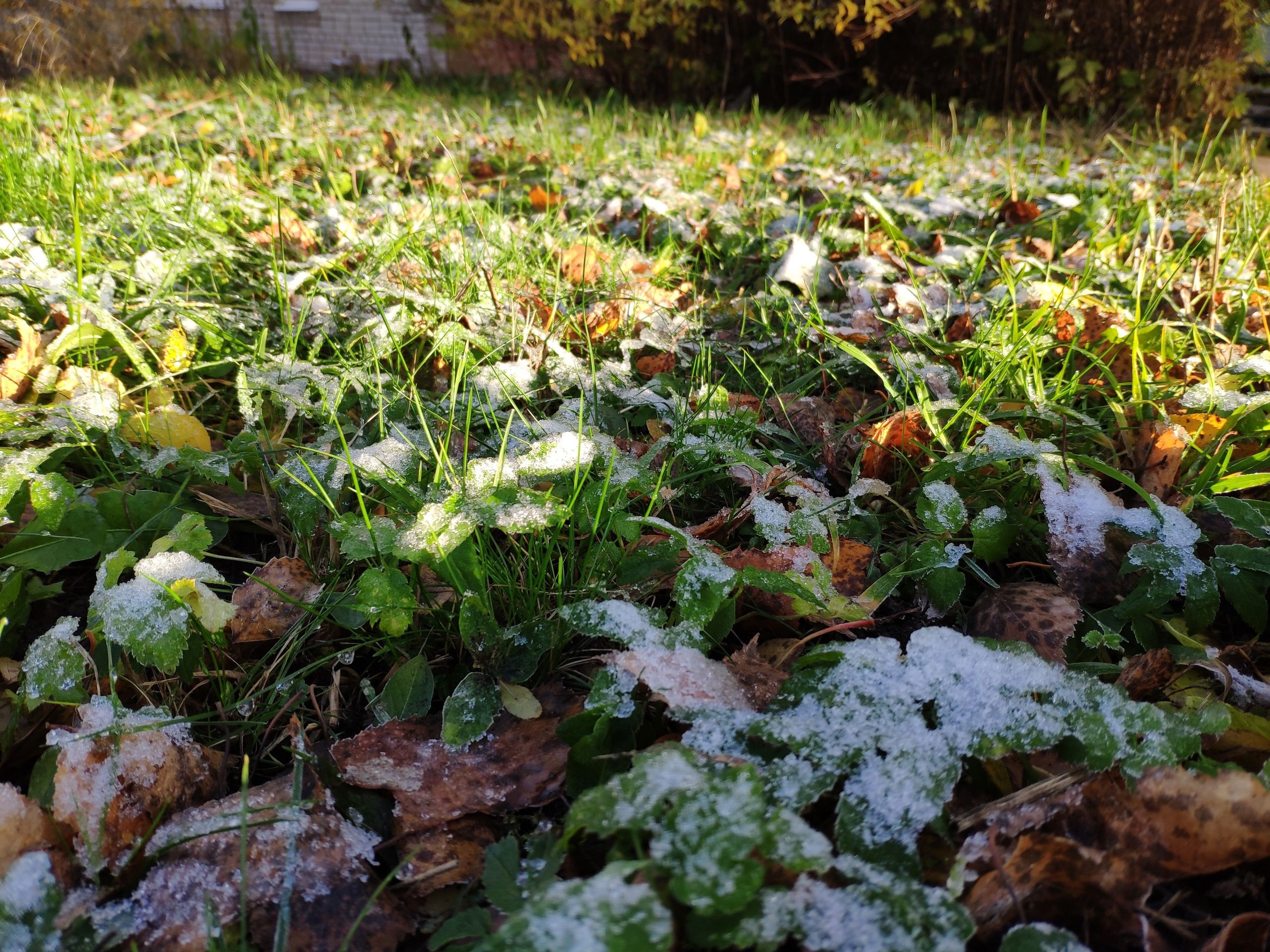 Местами заморозки и снег. Прогноз погоды в Карелии на 2 июня